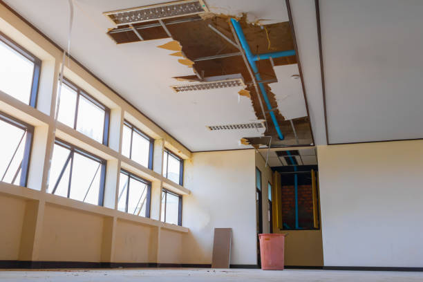 Best Water damage restoration services  in North Bonneville, WA