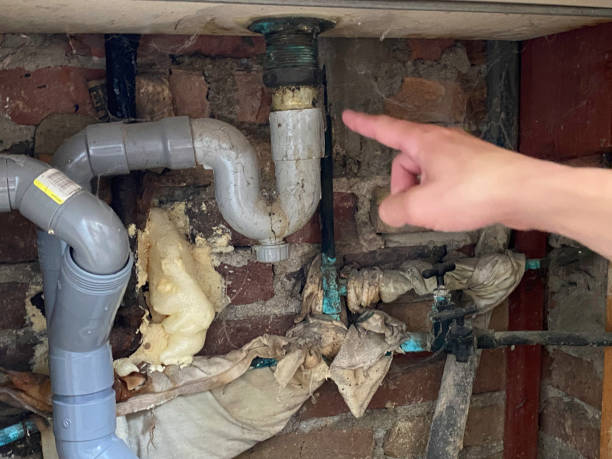 Best Local water damage restoration  in North Bonneville, WA